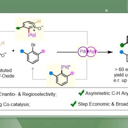 【JACS封面】“咔嗒”一声，巧筑轴手性：浙工大娄绍杰/许丹倩、中山大学罗勇团队巧借双金属协同催化，“积木拼接”般精准构建轴手性分子