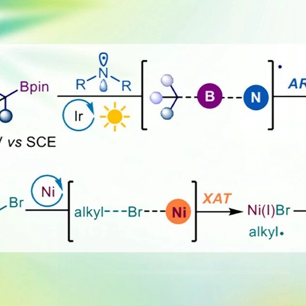 【JACS】上海科技大学高得伟课题组：胺基自由基促进的光/镍协同催化构建C(sp³)–C(sp³)键