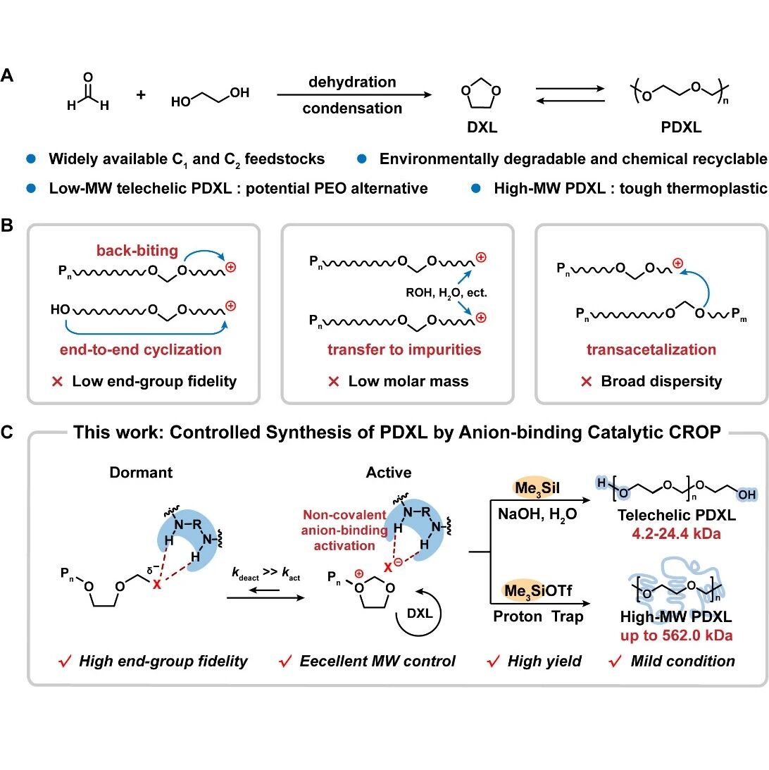 长春应化所陶友华研究员团队 JACS：阴离子结合催化实现聚(1,3-二氧戊环)的可控合成