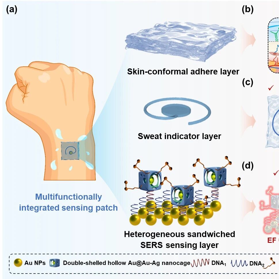 杭师大黄又举教授团队 ACS Sensors：耦合高分子凝胶人工皮肤与超晶格膜的可穿戴SERS芯片 → 实现汗液中抑郁症标志物无创检测