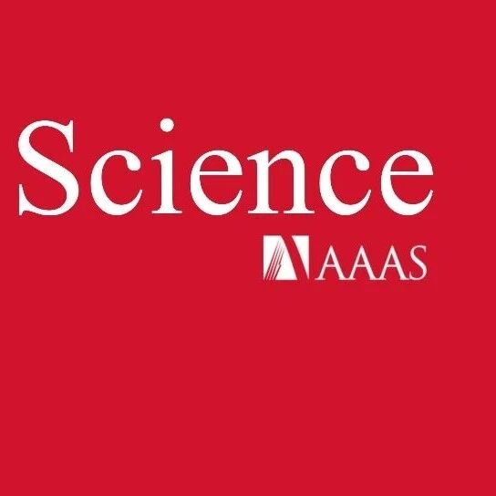 界面工程，Science！