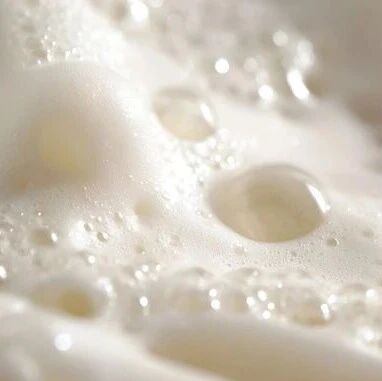 FSHW | 胃肠道消化过程中乳脂肪球微结构对其脂解行为的影响