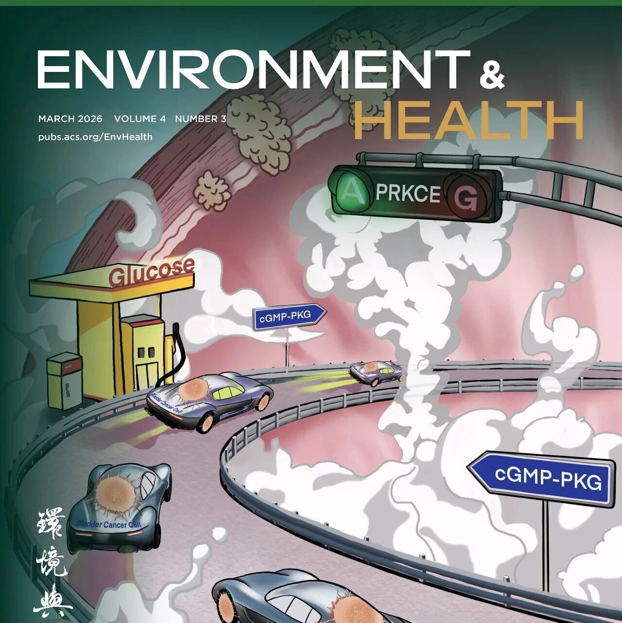 Environment & Health 2026年第3期文章正式发布