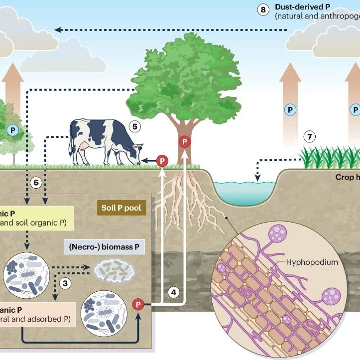 新疆生地所在Nature子刊（IF =103.3）发表最新科研进展