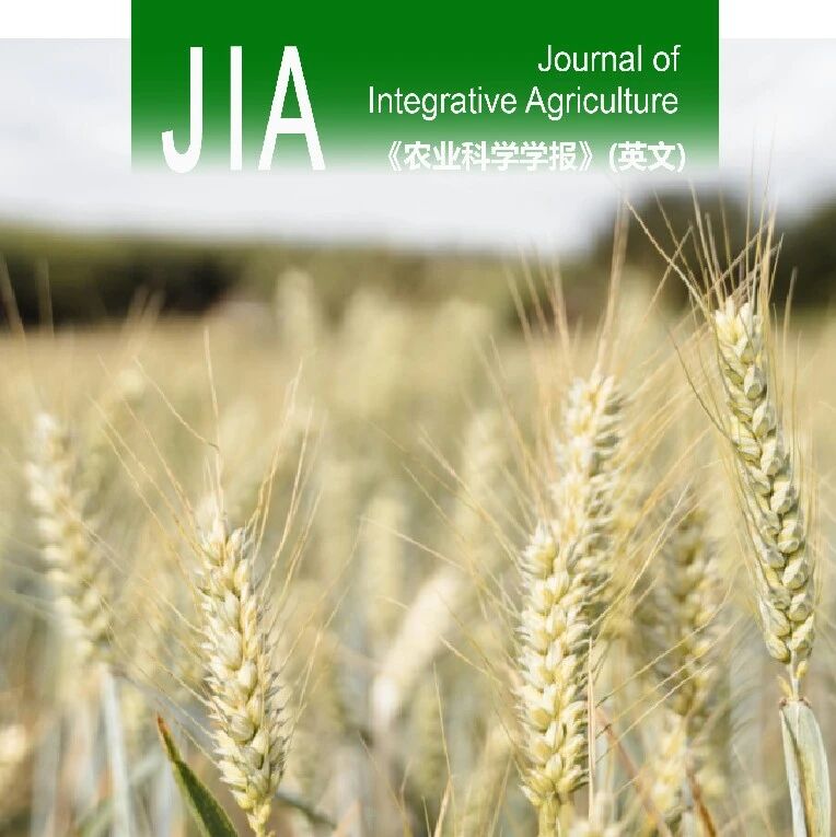 JIA｜安徽农业大学植物保护学院潘月敏解析假禾谷镰孢分泌蛋白Fp00392功能