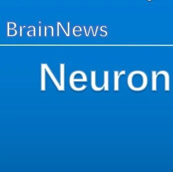 Neuron：“减肥药”为何能降低饮酒冲动？朱英杰/陈子君团队揭示GLP-1类药物限制酒精奖赏与饮酒行为的关键机制