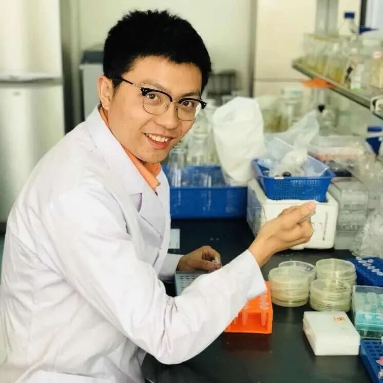 湖北大学教授发表Nature Communications、在一区Top期刊（IF=16.8）再获重要研究进展，突破关键技术瓶颈