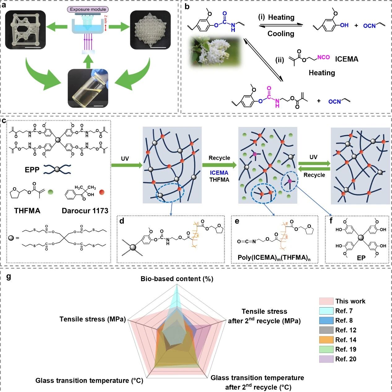 南林刘承果教授团队 Adv. Sci.：用于3D打印的高性能、可循环生物基光敏聚合物