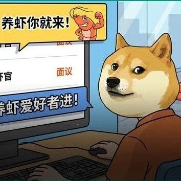 第一批“首席龙虾官”，月薪6万