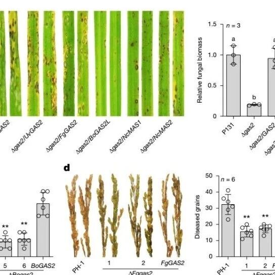 1个月，中国农业大学发表3篇《Nature》《Science》