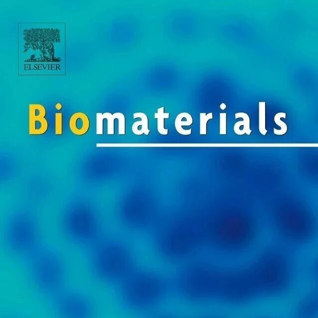 苏州大学附属第一医院Biomaterials：自组装介孔生物活性玻璃多酚纳米酶，用于修复肌肉骨骼复合创伤
