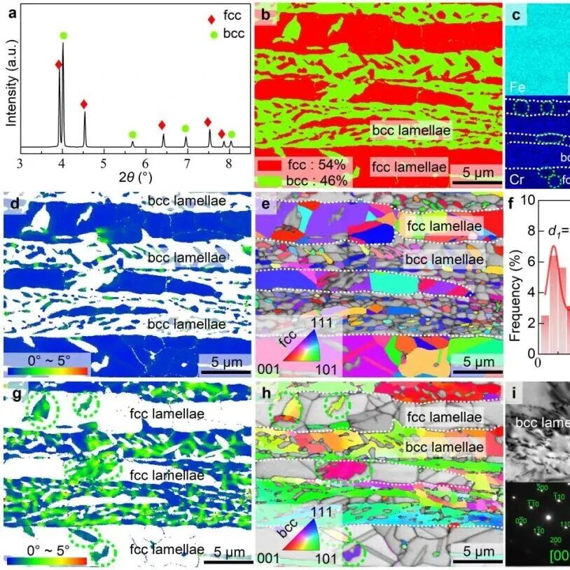 东北大学材料学院《International Journal of Plasticity》多主元合金强塑协同设计研究方面取得重要进展