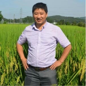 东北林业大学院长入选国家级高层次人才计划、团队在顶级期刊（IF=14）发表重要研究成果