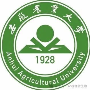 安徽农业大学博士后第一作者在植物学一区Top期刊再发研究论文，茶树抗病新突破！