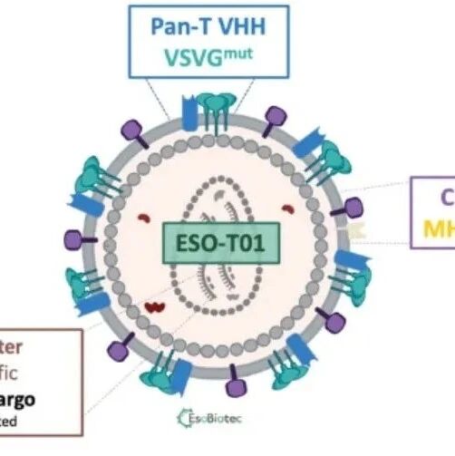 Nature Medicine | 华中科技大学李春蕊团队使用in vivo CAR-T细胞有效治疗多发性骨髓瘤