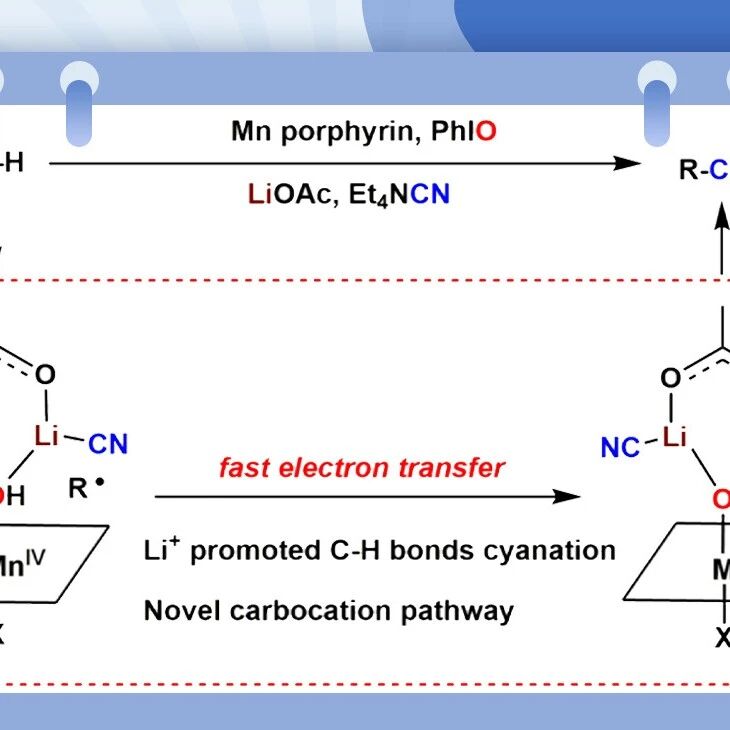 【JACS】武汉大学郭勉课题组：锂离子调控锰卟啉催化惰性C-H键的氰基化反应