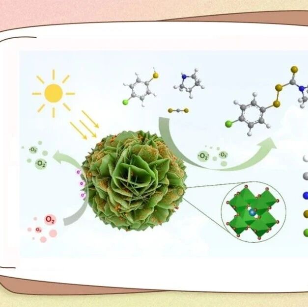 【Green Chem.】东华理工大学朱海波团队：Z型H₂WO₄/CsPbBr₃异质结光催化合成二硫代氨基甲酸酯
