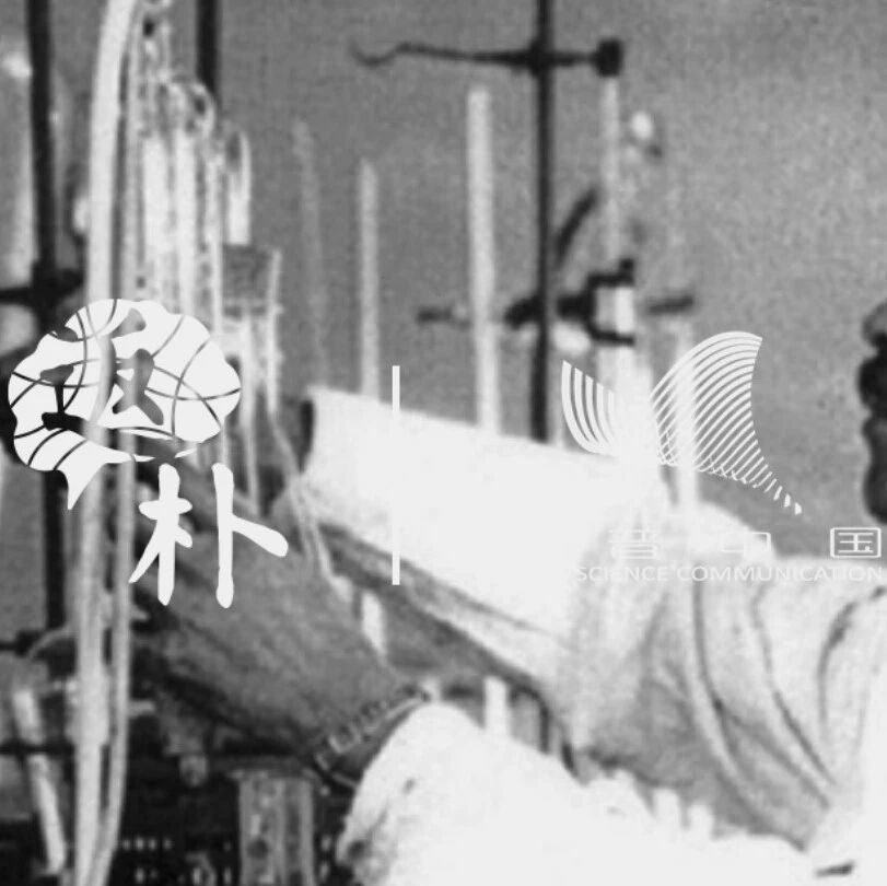 杀人无数的剧毒豆子,意外催生了一项诺奖发现