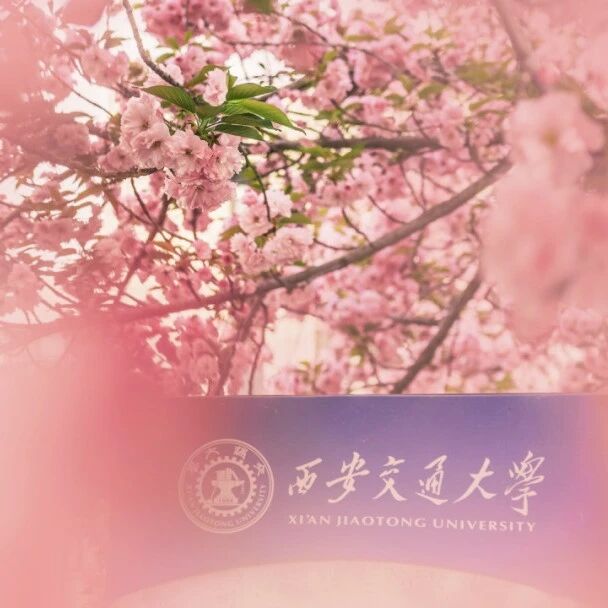 西安交通大学:自指示功能的MOFs,水体中钍Th离子的高灵敏检测与分离 | Nature Water