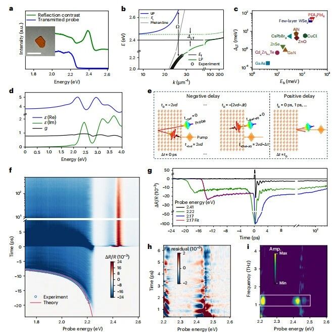 研究前沿:室温极化激元-钙钛矿单晶PEA₂PbI₄ | Nature Photonics