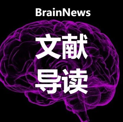 Adv. Sci.:抑郁环路中的“失语”与“重启”——孙伯民/占世坤团队解码DBS的精准网络修复作用