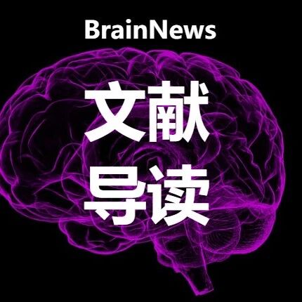 Brain Commun:脑血管病变与Tau蛋白如何“联手”加速脑老化与认知衰退?
