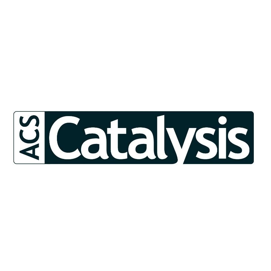 ACS Catalysis | 钇掺杂调控的多功能界面：实现无副反应的甲烷干重整