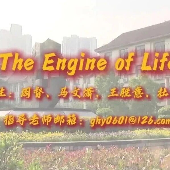 【创意课堂】02|The Engine of Life