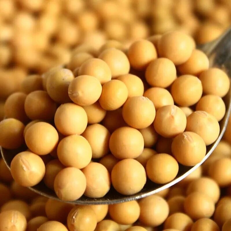 研究成果|通过弱碱同步膜分离技术同时提升大豆蛋白的风味和抗氧化活性：整合蛋白质组学和体外评估