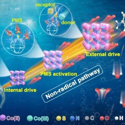 云南大学蒋峰芝团队在新污染物去除与高级氧化催化材料构筑领域取得系列重要进展