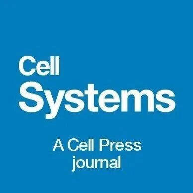 Cell Systems | 任会霞团队发现多胰岛在体成像揭示胰岛节律编码高血糖的机制：δ–α细胞互作介导慢-快振荡转换