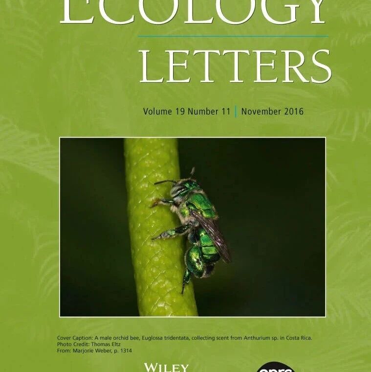 海南大学周淑荣教授团队在《Ecology Letters》期刊发表研究论文！