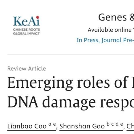 Cell Death & Disease | 山东大学董超研究员课题组揭示核糖体DNA损伤诱导转录抑制的新机制