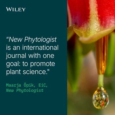 与《New Phytologist》同行，彰显学术影响力