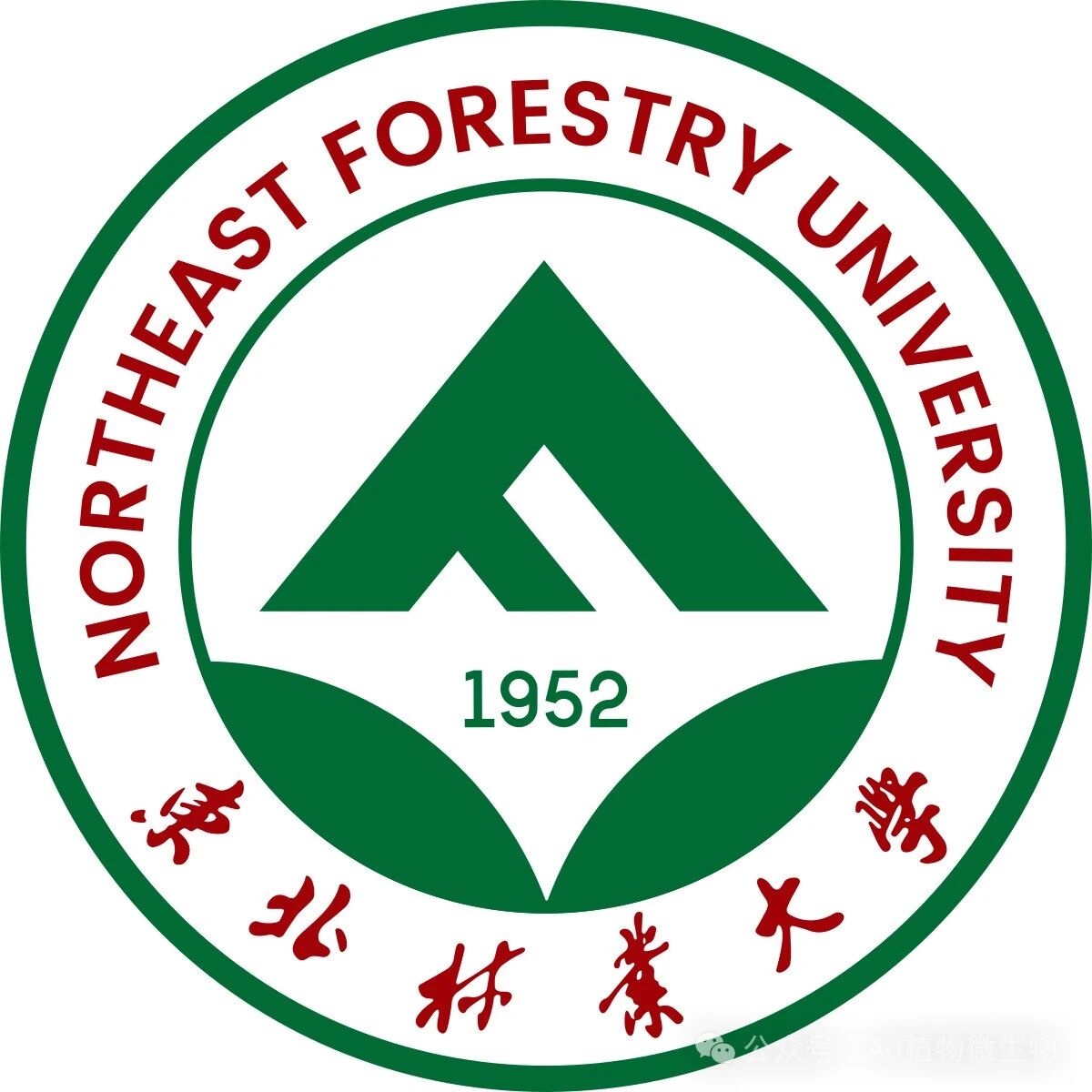东北林业大学博士生第一作者在一区Top期刊发表研究成果，取得全球森林可持续发展评估方面的新进展