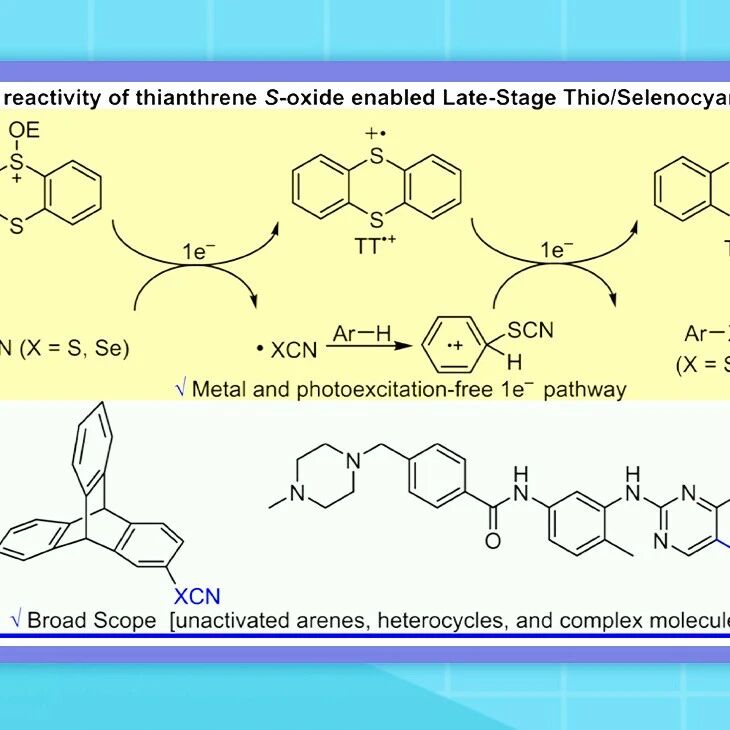 【JACS】温州医科大学药学院蔡云瑞课题组：发现高效硫氰化/硒氰化修饰方法