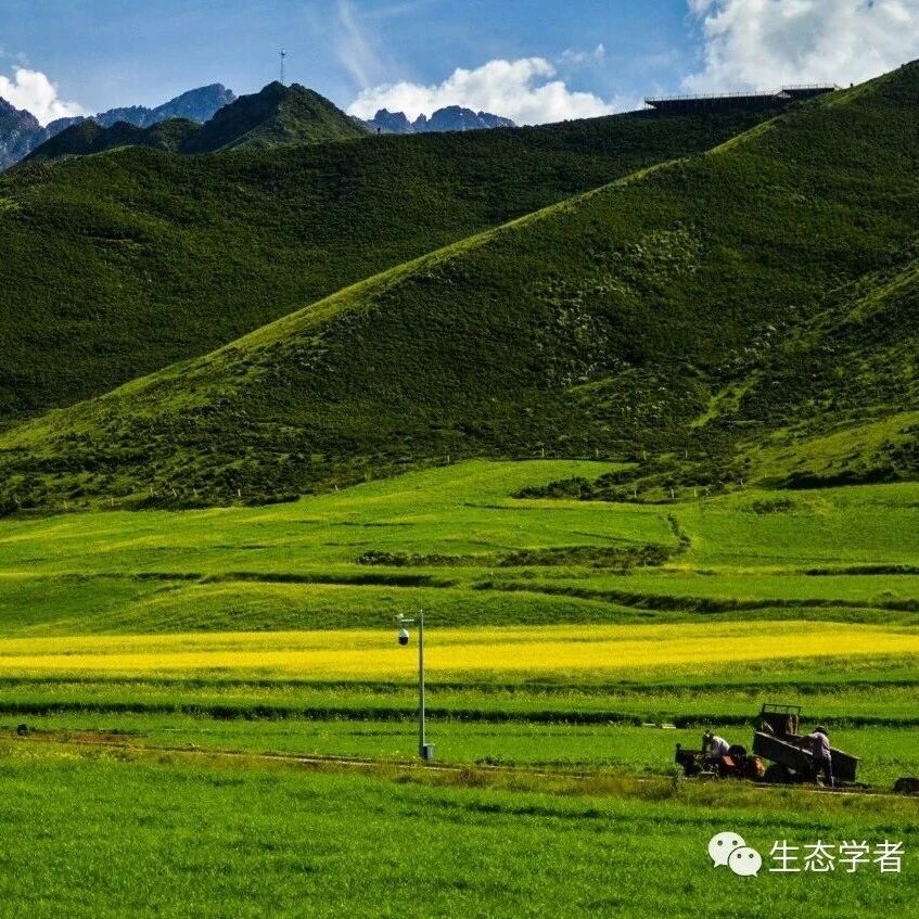 地环所陈骥研究员、西农安韶山研究员、朱兆龙副研究员GCB最新研究成果！草地退化增加微生物胞外聚合物对SOC的贡献