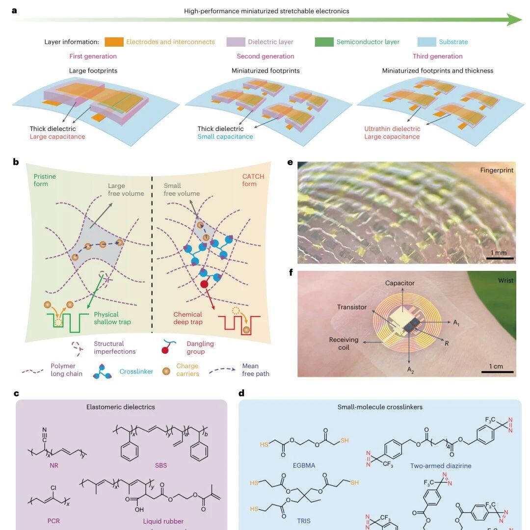 北京大学郑雨晴团队：微型化可拉伸电子 | Nature Electronics