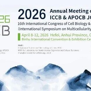 【CSCB2026】参会指南（合集）来啦，看看今年有哪些新变化？