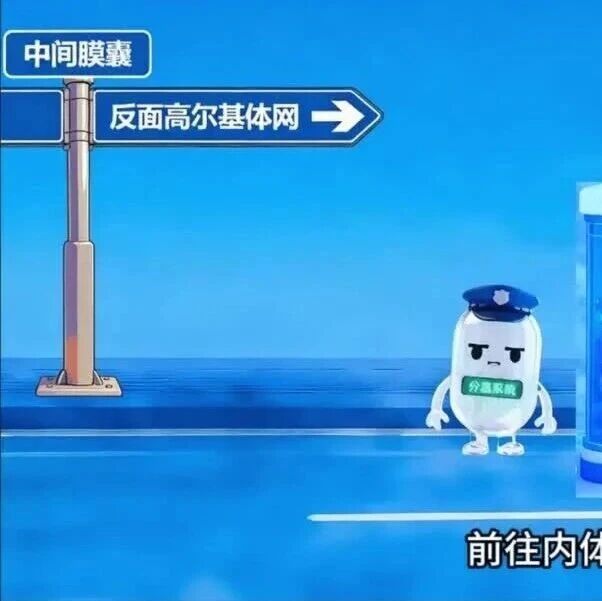 【创意课堂】05|微观宇宙的奇幻之旅
