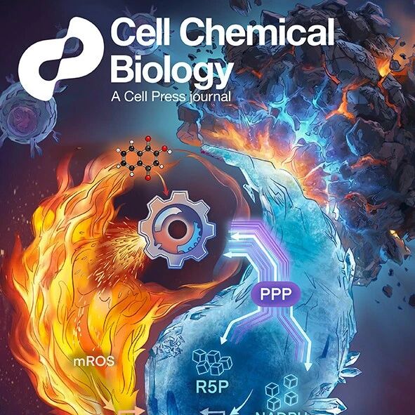 Cell Chem Biol封面 | 王锋团队揭示“混元”代谢新机制，天然产物Lawsone重塑T细胞抗肿瘤干性