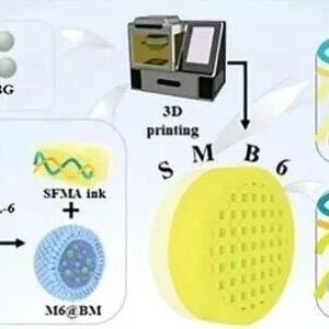 3D打印双层颅脑贴片促进脑损伤修复与骨组织再生