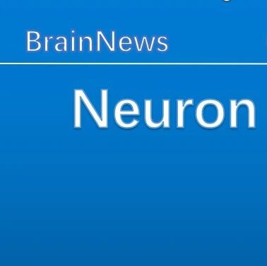 Neuron：赵敏/袁逖飞/刘芳团队破译成瘾渴求的“神经接力赛”