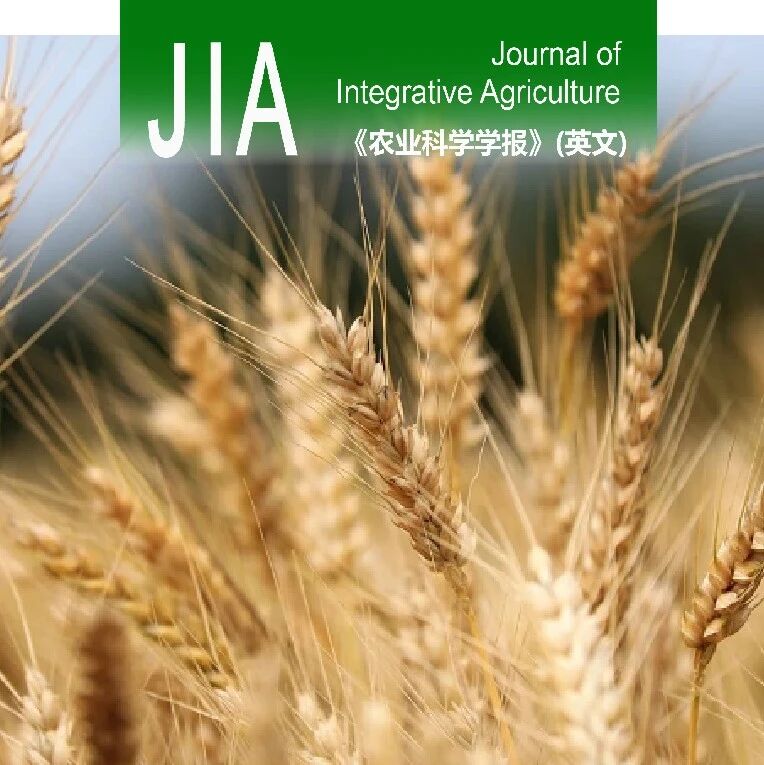 JIA优先上线 | 中国农科院作科所张宏军研究员团队在小麦抗茎基腐病QTL挖掘取得新进展