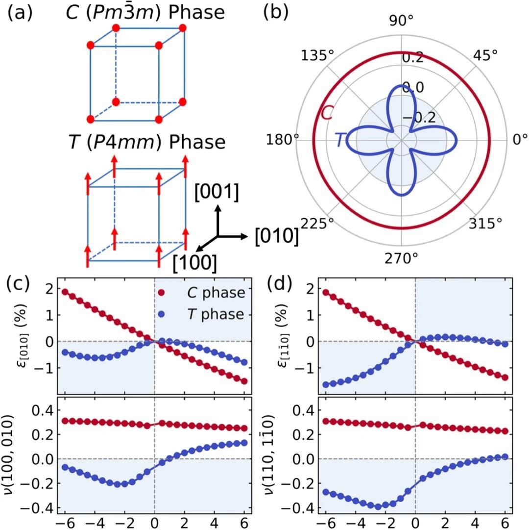 (纯计算)苏州大学许彬/西安交通大学李飞团队Phys. Rev. Lett.: 铁电钙钛矿中负泊松比的极性-位移机制