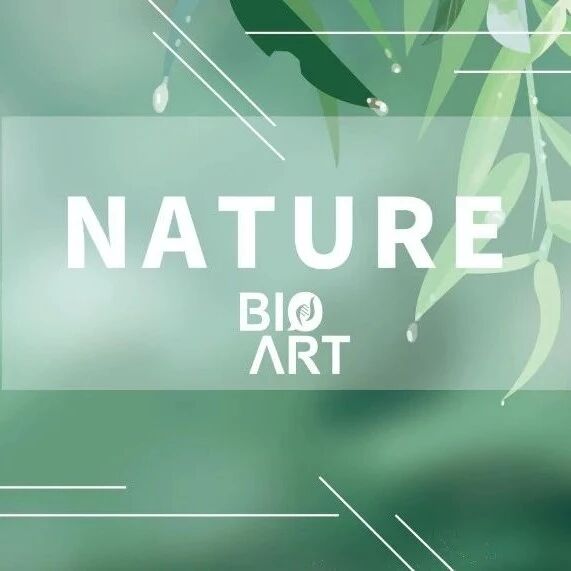 Nature | 邓东团队揭示卵母细胞维持蛋白质稳定的全新机制