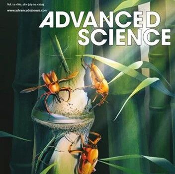 Adv Sci | 新疆生地所团队揭示全球氮沉降对陆地生态系统碳汇的影响