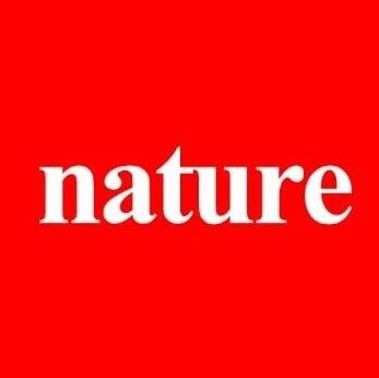 「国家杰青」程冲领衔！四川大学李爽/汪茂Nature Synthesis | 机器学习加速发现用于光合成过氧化氢的COFs！