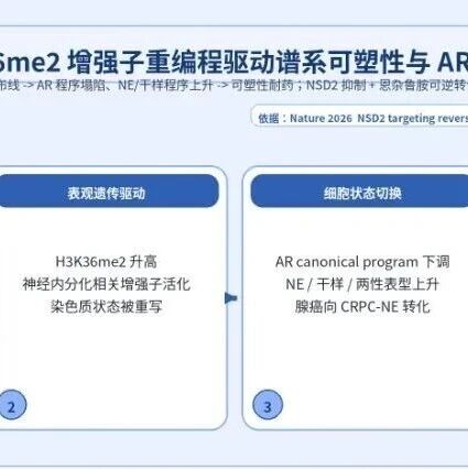 前列腺癌方向 5 篇 SCI 一区 Top 文章设计方案