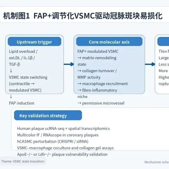 冠心病机制方向5篇SCI一区Top文章设计方案